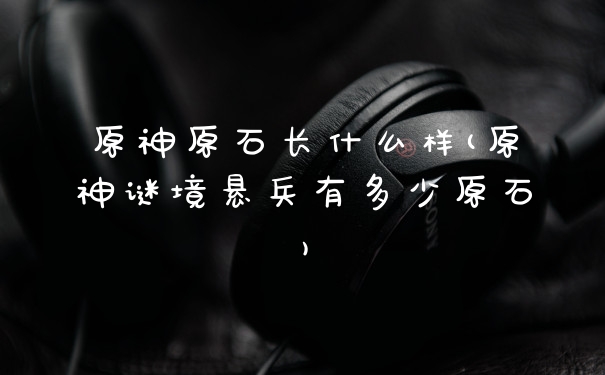 原神原石长什么样(原神谜境悬兵有多少原石)