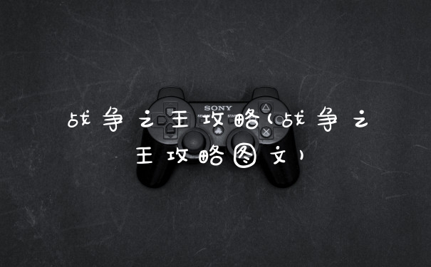 战争之王攻略(战争之王攻略图文)