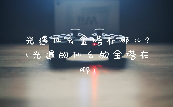 光遇仙乡金塔在哪儿?(光遇的仙乡的金塔在哪)