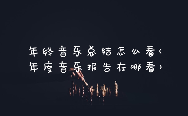 年终音乐总结怎么看(年度音乐报告在哪看)