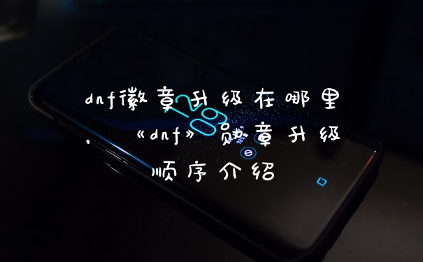 dnf徽章升级在哪里,《dnf》勋章升级顺序介绍