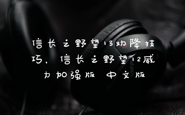 信长之野望13劝降技巧，信长之野望12威力加强版 中文版