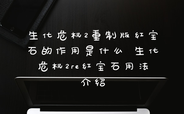 生化危机2重制版红宝石的作用是什么 生化危机2re红宝石用法介绍