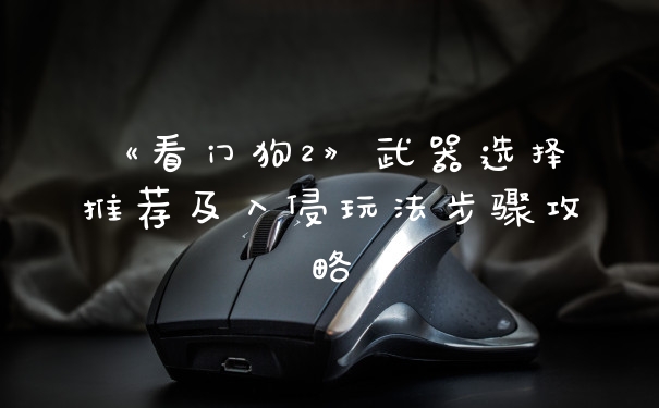《看门狗2》武器选择推荐及入侵玩法步骤攻略