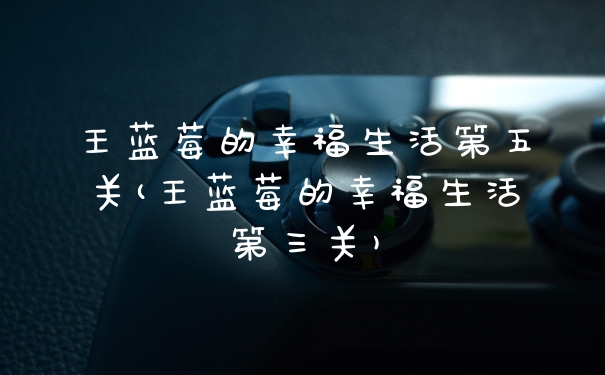 王蓝莓的幸福生活第五关(王蓝莓的幸福生活第三关)