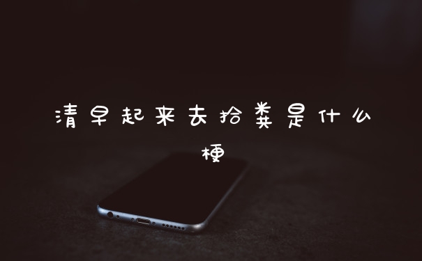 清早起来去拾粪是什么梗