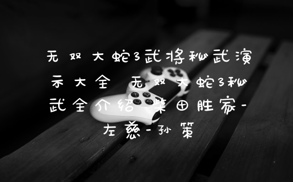 无双大蛇3武将秘武演示大全 无双大蛇3秘武全介绍 柴田胜家-左慈-孙策