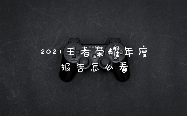 2021王者荣耀年度报告怎么看