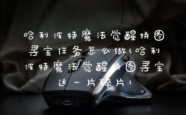 哈利波特魔法觉醒拼图寻宝任务怎么做(哈利波特魔法觉醒拼图寻宝这一片碎片)