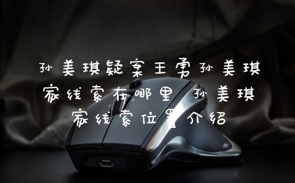 孙美琪疑案王勇孙美琪家线索在哪里 孙美琪家线索位置介绍
