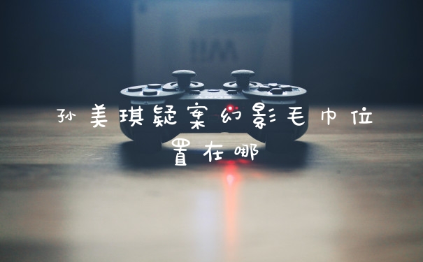 孙美琪疑案幻影毛巾位置在哪