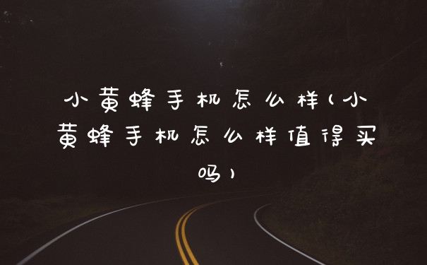 小黄蜂手机怎么样(小黄蜂手机怎么样值得买吗)