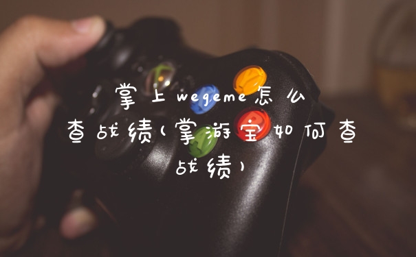 掌上wegeme怎么查战绩(掌游宝如何查战绩)