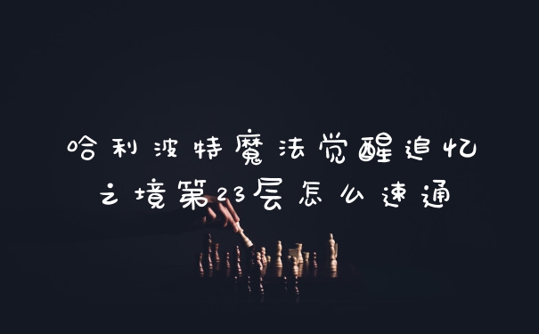 哈利波特魔法觉醒追忆之境第23层怎么速通