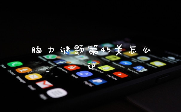 脑力谜题第45关怎么过