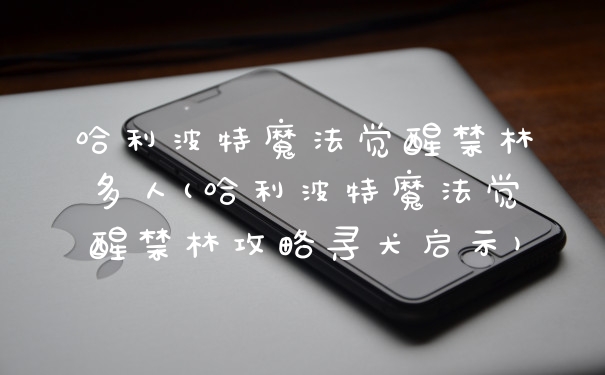 哈利波特魔法觉醒禁林多人(哈利波特魔法觉醒禁林攻略寻犬启示)