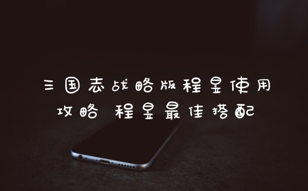 三国志战略版程昱使用攻略 程昱最佳搭配