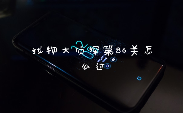 找物大侦探第86关怎么过