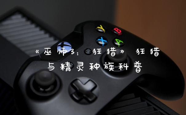 《巫师3：狂猎》狂猎与精灵种族科普