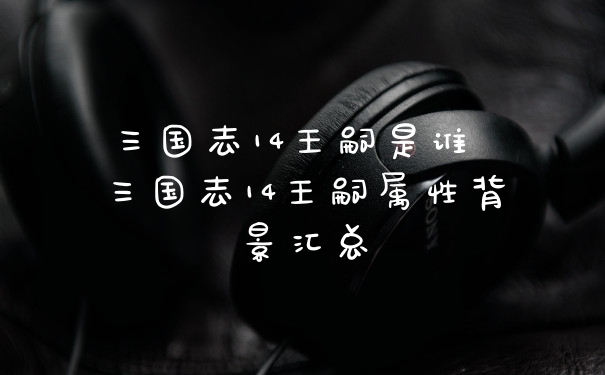 三国志14王嗣是谁 三国志14王嗣属性背景汇总