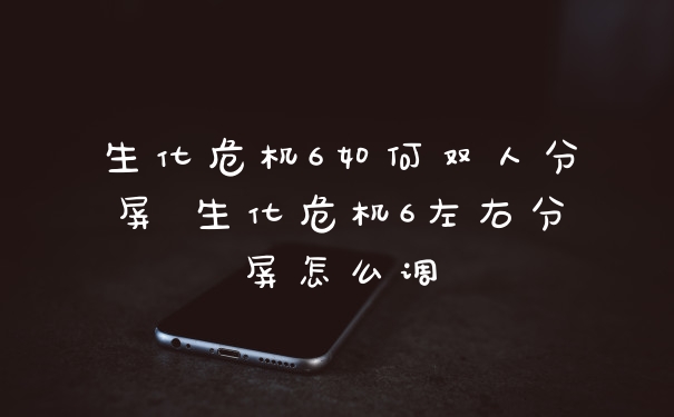 生化危机6如何双人分屏 生化危机6左右分屏怎么调