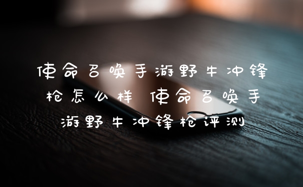 使命召唤手游野牛冲锋枪怎么样 使命召唤手游野牛冲锋枪评测
