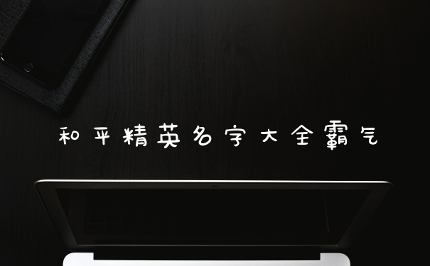 和平精英名字大全霸气