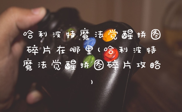 哈利波特魔法觉醒拼图碎片在哪里(哈利波特魔法觉醒拼图碎片攻略)