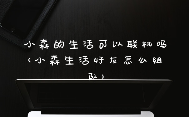 小森的生活可以联机吗(小森生活好友怎么组队)