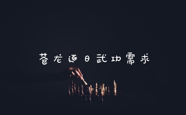 苍龙逐日武功需求