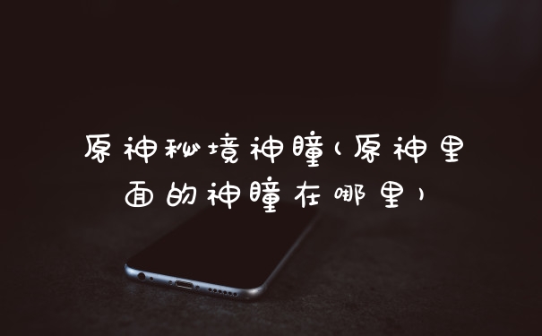 原神秘境神瞳(原神里面的神瞳在哪里)