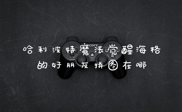 哈利波特魔法觉醒海格的好朋友拼图在哪