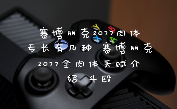 赛博朋克2077肉体专长有几种 赛博朋克2077全肉体天赋介绍 斗殴