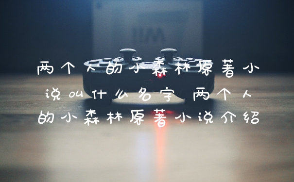 两个人的小森林原著小说叫什么名字 两个人的小森林原著小说介绍