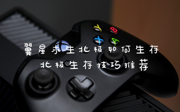 翼星求生北极如何生存 北极生存技巧推荐
