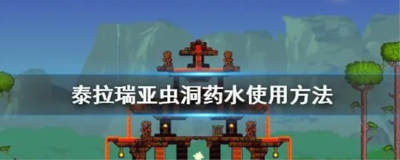 泰拉瑞亚虫洞药水怎么用