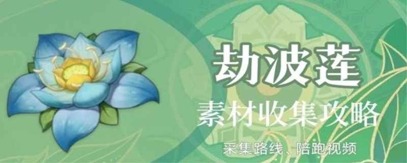 劫波莲多久刷新一次