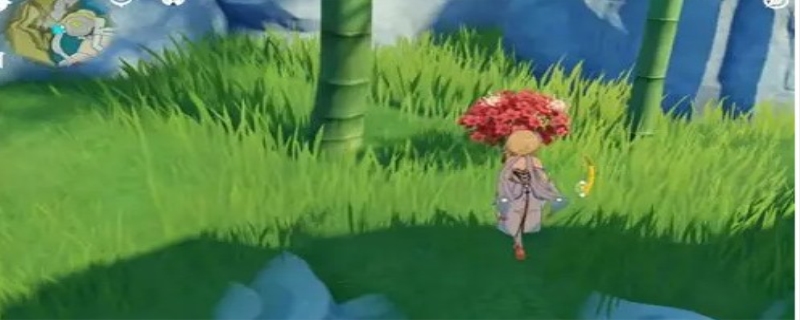 原神甜甜草在哪里