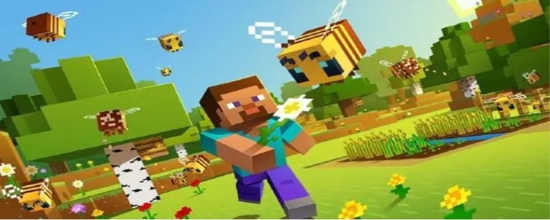 我的世界锁链的作用是什么