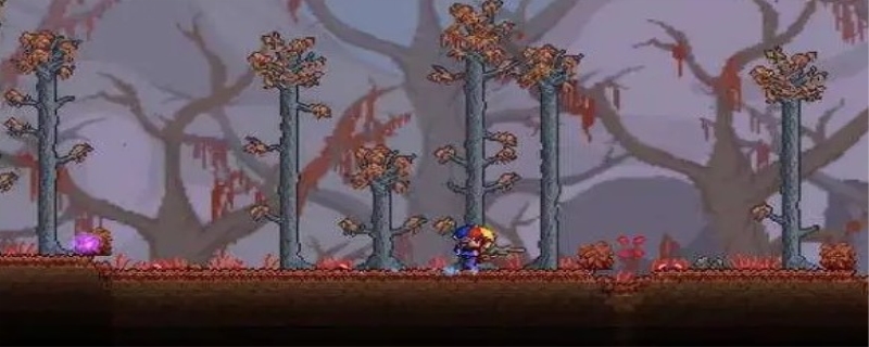 泰拉瑞亚猩红钥匙速刷