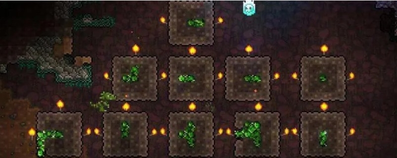 泰拉瑞亚叶绿矿出现条件