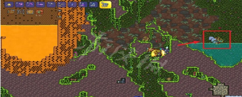 泰拉瑞亚蜂后怎么召唤