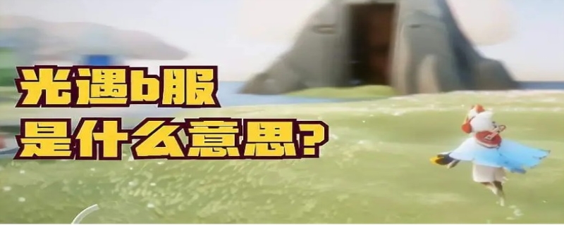 b服是什么意思(b服是渠道服)