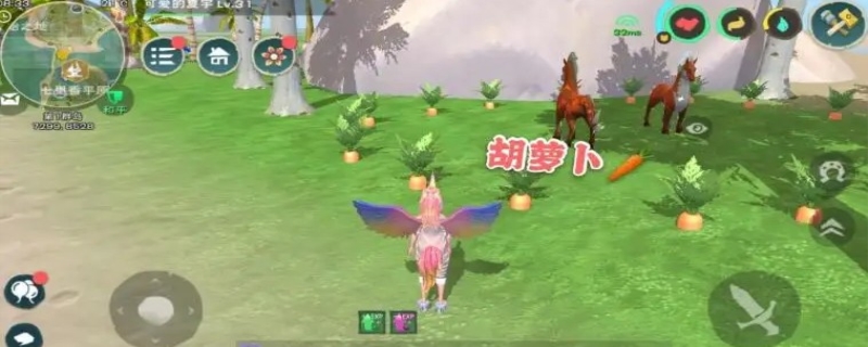 创造与魔法胡萝卜在哪里最多