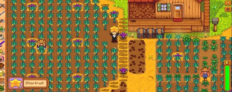 星露谷物语草莓种子怎么得到