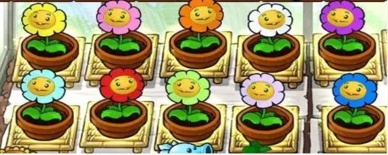 金盏花植物大战僵尸的作用是什么