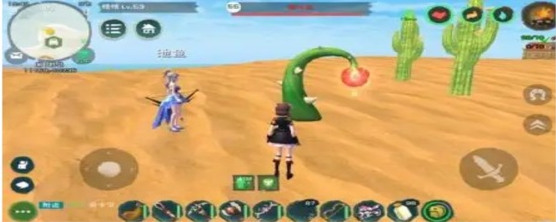 创造与魔法蹲龙草的最佳时间