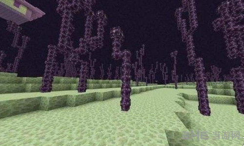 我的世界紫颂果怎么得到 我的世界紫颂果获取攻略