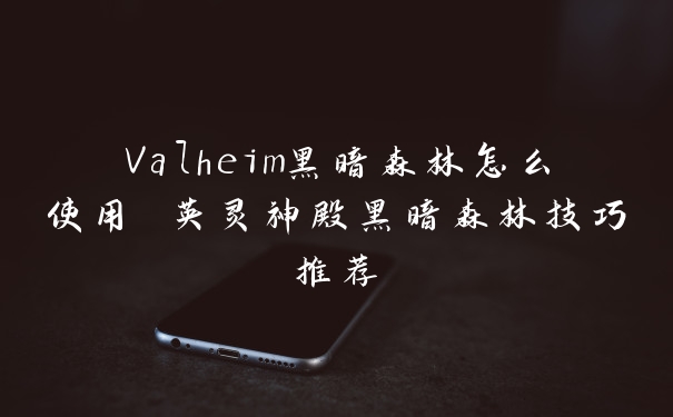 Valheim黑暗森林怎么使用 英灵神殿黑暗森林技巧推荐