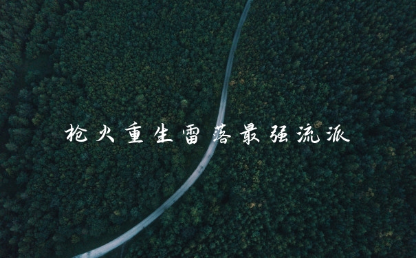 枪火重生雷落最强流派